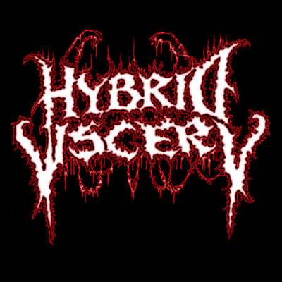 logo Hybrid Viscery